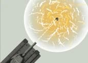 EMP-ЛОВУШКА